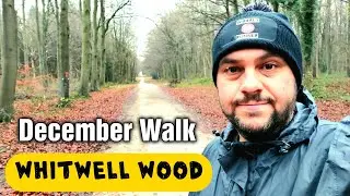 Whitwell Wood Walk in December