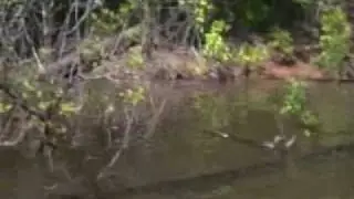 Fishing with Eddie Fore Part 3