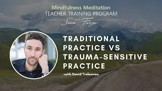 Traditional Practice vs Trauma-Sensitive Practice &ndash; How to Teach Meditation With David Treleaven