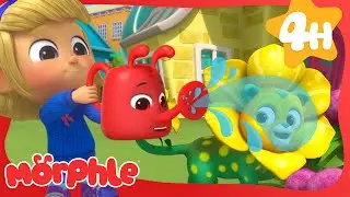 Flower Power Pet! 🌸🦄 | Morphle's Family | Preschool Cartoons
