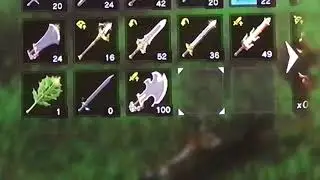 SAVAGE LYNEL SWORD THAT DOES 100 DAMAGE?!?