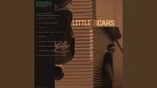 LITTLE SCARS