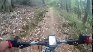 Felsenwanderweg Rodalben im Uhrzeigersinn