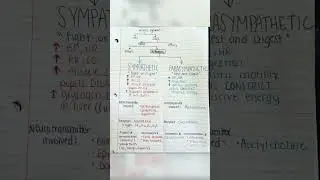 Autonomic nervous system physiology and nervous system