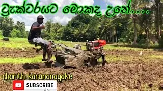අස්වද්දමු රං අස්වනු ....#srilanka# Aswaddamu rn aswanu.... Let's prepare the field.