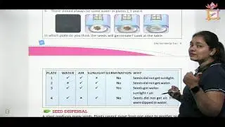 CHILDREN VOICE EVS CLASS 5 CHAPTER 8 PLANTS GROWING IN NUMBER