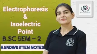 B.Sc Sem-2| Electrophoresis & Iso Electric Point For Amino Acid by visionbycharu 