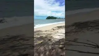 1430. Loose long lead come sit re-position sit release Beach 25 March 2023 PUK