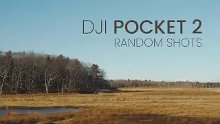 DJI Pocket 2 | Random Cinematic Shots | 4K
