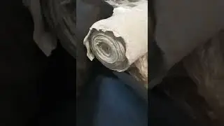 tissu jersey scuba daim n&eacute;opr&egrave;ne