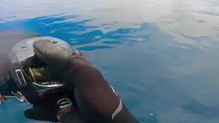 E-Reel Jigging