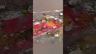 #ytshorts #trending #kakinada near #kandrakota #breaking news @itsmeeyohitha5104