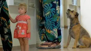 Brain scans show the dog-owner bond (EN version)