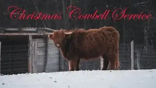 December 14, 2025 - Christmas Cowbell Service