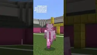 THERE HE GOES‼️‼️ #minecraft #mcaa #college #funny #fun #axolotl #viralvideo