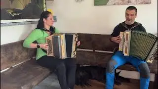 🎶Alpenecho🎶 Steirische Harmonika