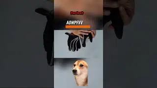🛡️ Bite-Proof Gloves for Safe Pet Handling! 🐍🐶🐱
