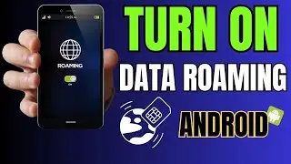 How to Turn ON Data Roaming on Samsung Galaxy Android Smartphone