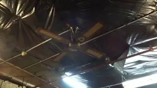 Montgomery Ward Evergo Spinner ceiling fan new in the box