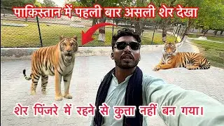Saw a real lion for the first time at the Pakistani Zoo || Harchand Ram Vlogs