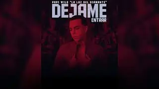 Papi Wilo - Dejame Entrar [Official Audio]
