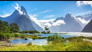 Wildlife & Landscapes of New Zealand&rsquo;s South Island &bull; Daily Dose of Nature