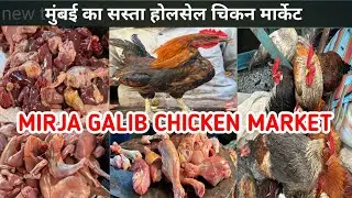 Mumbai Wholesale Mutton Market | Null Bazar Mutton Market | Wholesale Mutton Market In Mumbai