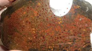Large celled highly polished collector slab of high grade gembone