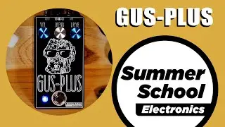 Gus-Plus Demo | Summer School Electronics