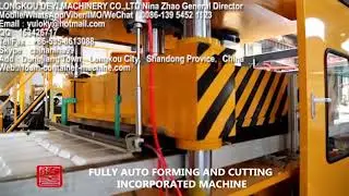 eps plastic box vacuum forming machine/eps plastic foam lunch box production line