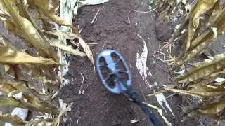 Fors Core CornField Hunt