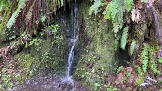 Lime Kiln Trail