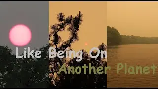 A Look Around Long Island Under A Shroud Of Wildfire Smoke