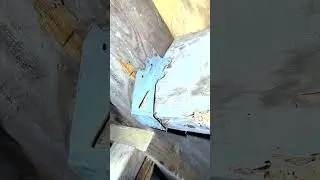 Why do you need a home inspection? support of home