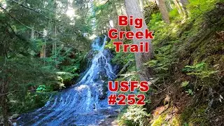 Big Creek Trail #252 || Osborne Mtn Trail, Ashford, WA || Specialized Turbo Levo Expert
