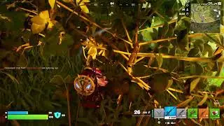 Fortnite just having fun