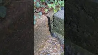 Surface Subsurface Water Interactions