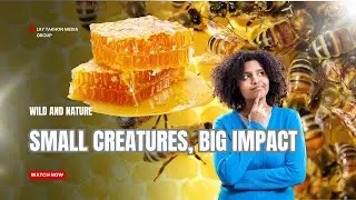 Small Creatures,Big Impact