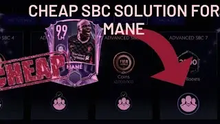 cheap mane sbc 7 solution