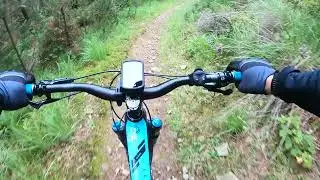 Afan forest Black Run