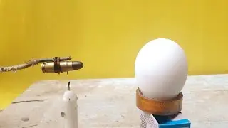 Egg vs Bullet Experiment #short