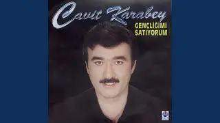 Şahin Ser&ccedil;e Peşinde