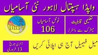 Wapda Hospital Lahore Jobs 2023 | Latest Jobs In Pakistan