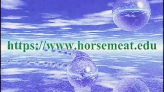DreamServer0088