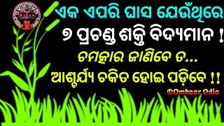 Such Powerful Divine Grass That Has Great Capability To Bring You Wealth Wellness Money & Prosperity