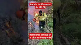 Bomberos arriesgan su vida combatiendo incendios en Patagonia. Milei ausente. #milei #patagonia