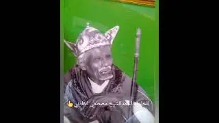 🥁 الساري فرش 🥁 لالوبو درش 🥁 سايق الليل ل القرضة قرش