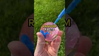 Random Facts That Will Shock You #shorts #facts #satisfying