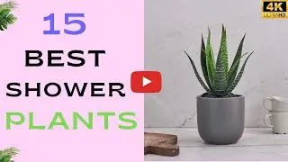 15 Shower Plants That Actually Thrive in Humidity | Bathroom Plants | Soil To Sow