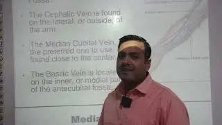 Venous Blood Collection Part-1, #venous#blood#collection, #venous ,#bloodcollection ,#dmlt, #bmlt